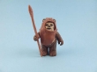 Wicket Warrick
